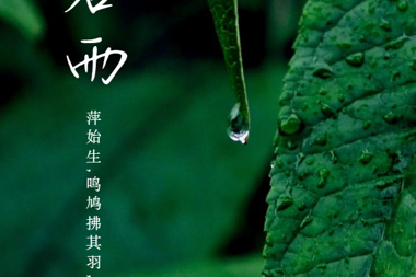 【溫暖?財(cái)鑫】每一次風(fēng)雨過(guò)后，終將在陽(yáng)光中溫暖新生