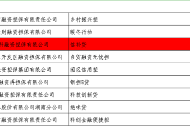 財(cái)科擔(dān)?！靶叛a(bǔ)貸”產(chǎn)品獲2022年湖南省融資創(chuàng)新考評獎勵