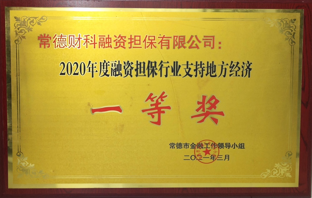 常德財(cái)科融資擔(dān)保有限公司：2020年度融資擔(dān)保行業(yè)支持地方經(jīng)濟(jì)一等獎(jiǎng)