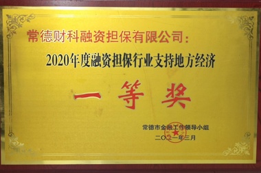 2020年度融資擔(dān)保行業(yè)支持地方經(jīng)濟(jì)一等獎(jiǎng)—常德財(cái)科融資擔(dān)保有限公司