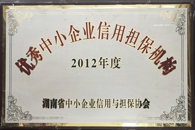 2012年度優(yōu)秀中小企業(yè)信用擔(dān)保機構(gòu)