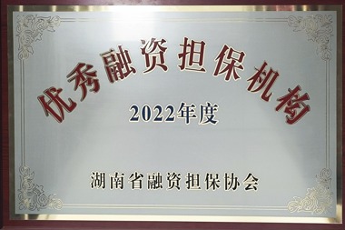 2022年度優(yōu)秀融資擔(dān)保機(jī)構(gòu)