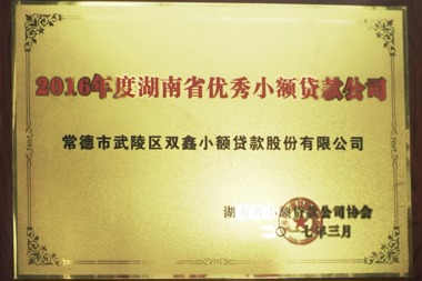 2016年度湖南省優(yōu)秀小額貸款公司—常德市武陵區(qū)雙鑫小額貸款股份有限公司