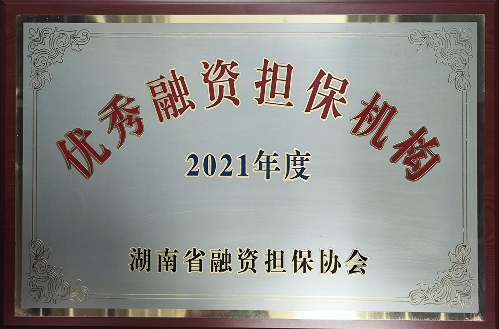 2021年度優(yōu)秀融資擔保機構